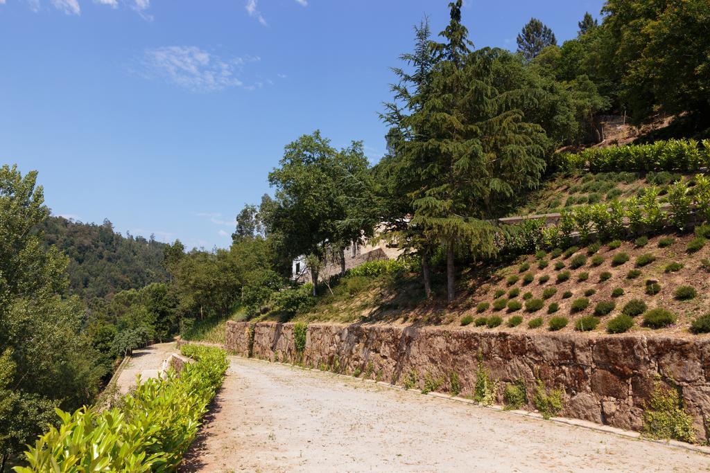 Douro Green Castelo de Paiva Luaran gambar